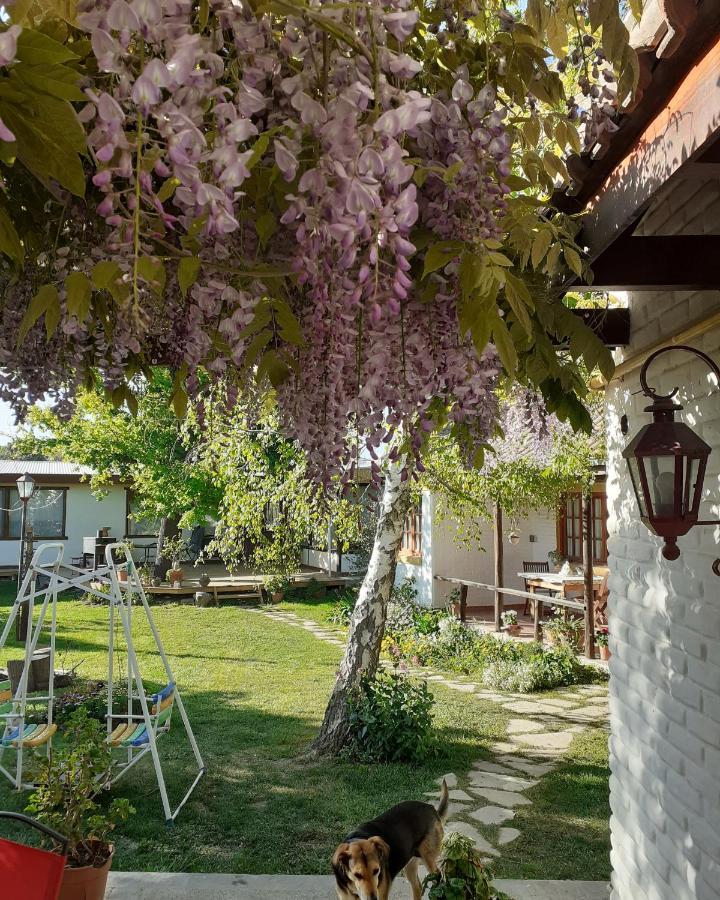 Shai Shai Hue Puerto Madryn Kültér fotó